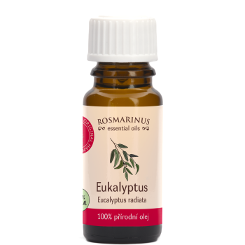 Eukalyptus radiata - 100% reines Naturöl