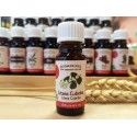 Litsea Cubeba - 100% tiszta természetes olaj Rosmarinus 1 - Rosmarinus (koreni-krumlov.cz / platce DPH) 