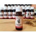 Eucalyptus globulus - 100% pure natural oil Rosmarinus 1 - Rosmarinus (koreni-krumlov.cz / platce DPH) 